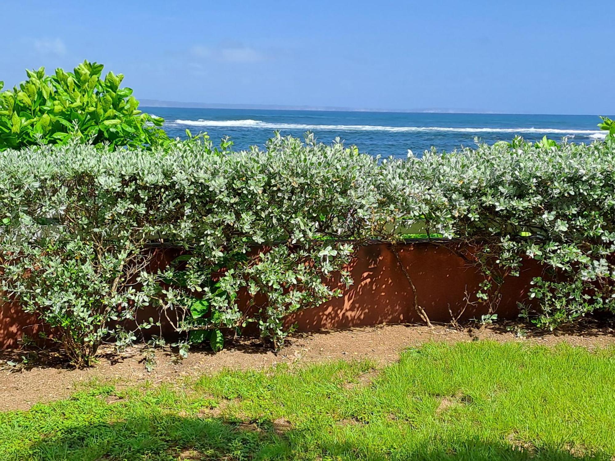Rdc Appartement En Bord De Mer Au Son Des Vagues Le Moule Εξωτερικό φωτογραφία